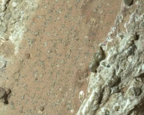 На Марсе нашли породу, указывающую на существование жизни на планете в прошлом