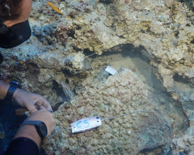 Со дна в Анталии подняли редкий бронзовый кинжал минойской цивилизации — ему 3 600 лет